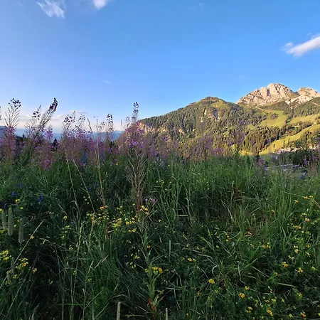 Almhaus Hochenwarter شقة