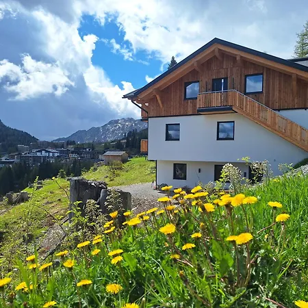 Apartment Almhaus Hochenwarter *