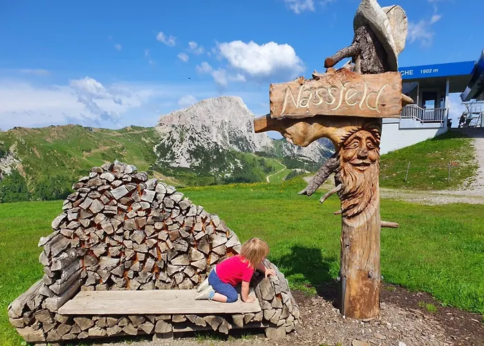 Almhaus Hochenwarter *