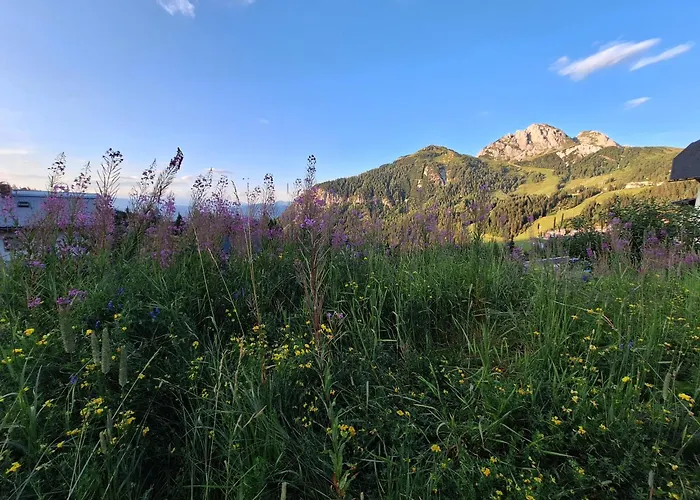 Almhaus Hochenwarter Apartmán